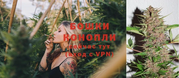 ГАЛЛЮЦИНОГЕННЫЕ ГРИБЫ Балабаново