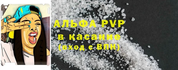 ECSTASY Покачи